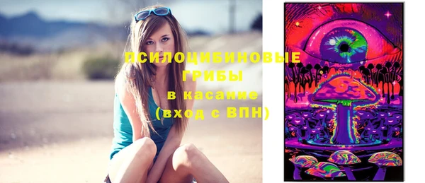 spice Алексеевка