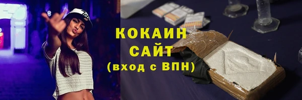 молекула духа Алексин