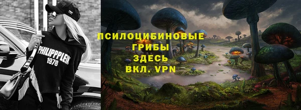 гидропоника Аркадак